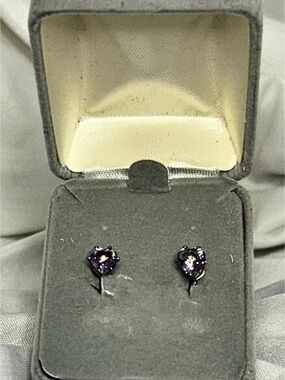 Lorenzo Purple Heart Earrings 925